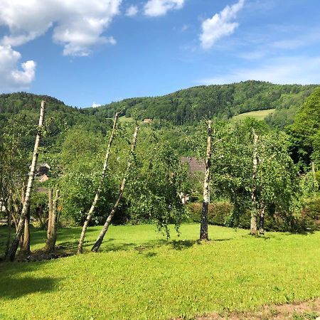 Chalet De Fréland Εξωτερικό φωτογραφία