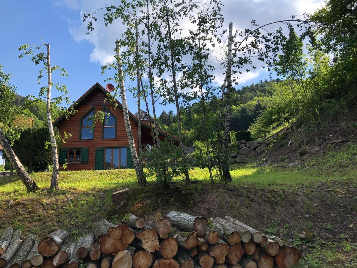 Chalet De Fréland Εξωτερικό φωτογραφία